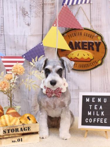 20240908ふたばちゃん